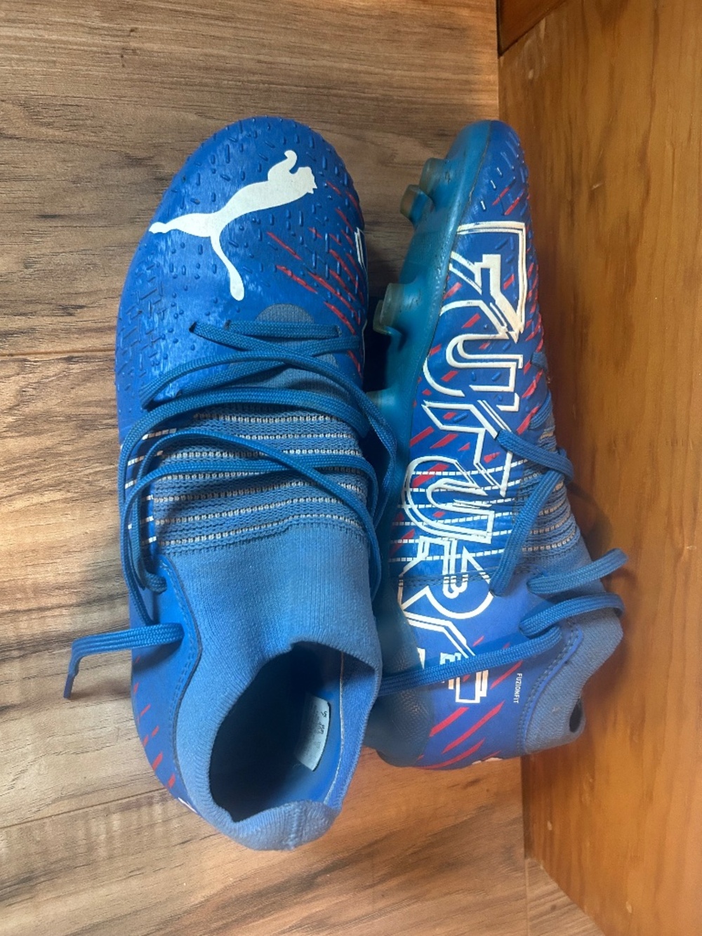 Puma Future